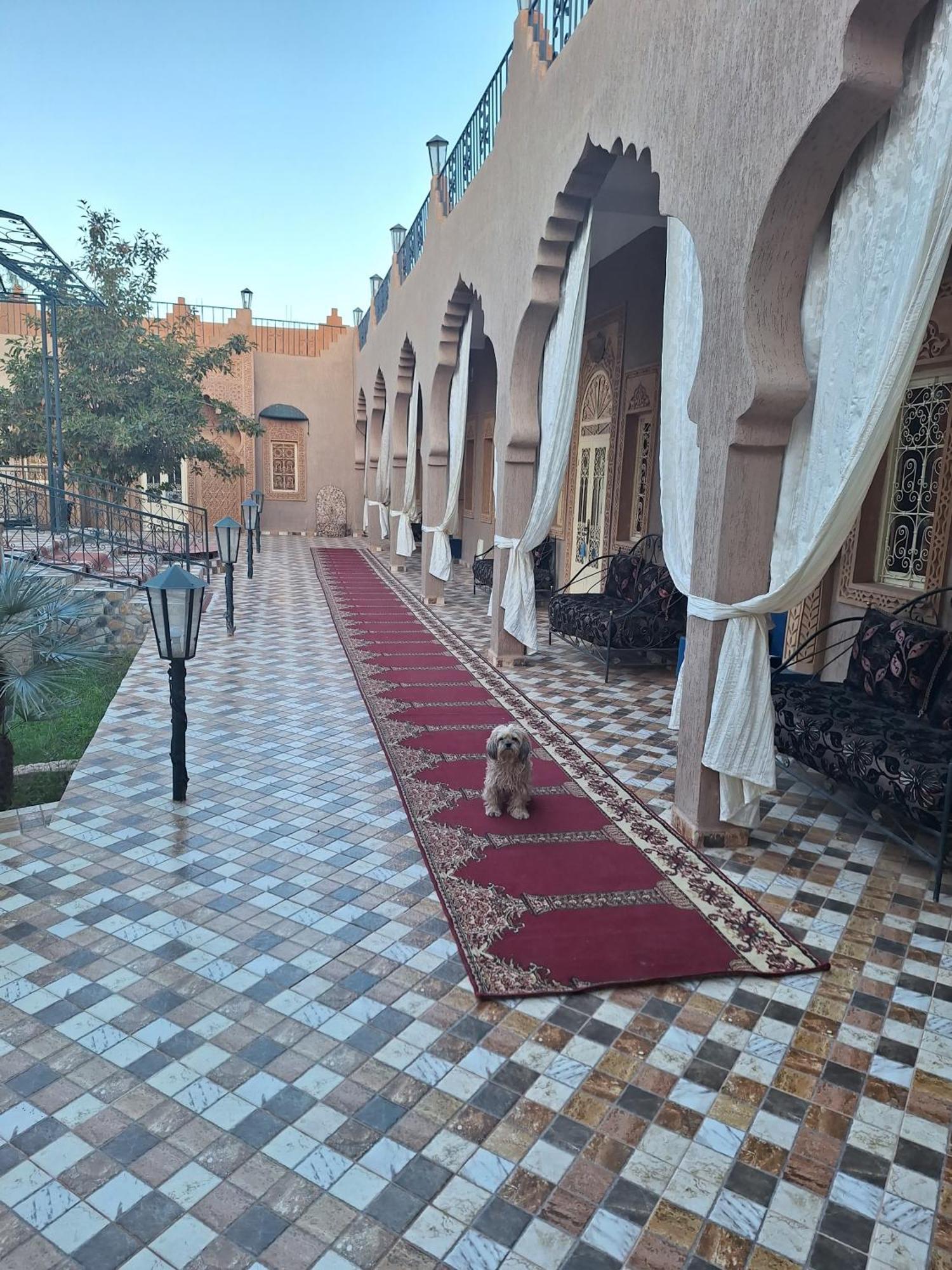 Eden Suite Marrakesh Exterior photo